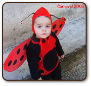 Le carnaval des enfants organisé en 2008 dans la cité bassoise par le comité des fêtes ANIBAL