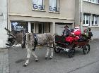 Le comité des fêtes de bas en basset (ANIBAL) organise le 12 décembre 2009 le marché de noël